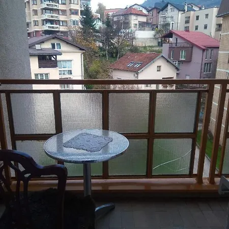 Gudic Apartment *